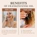 Aoruilia 10ml Frankincense Essential Oils - 100% Pure Natural Frankincense Oil for Diffuser for Home Aromatherapy Relax Spa Yoga Soaps & Candles Making Frankincense 10 ml (Pack of 1) - Buy Online on GoSupps.com