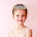 Girls Crystal Tiara Heart Rhinestone Crown - Perfect for Wedding, Prom, Birthday Party - 6 Pieces (Delicate Style) - Buy Online on GoSupps.com