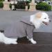 Buy Hualisiji Large Dog Hooded Sweater - Warm Light Soft Texture for XL Dogs (4XL Gray) - Buy Online on GoSupps.com