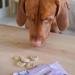 Scrumbles Nibbles 100% Natural Calming Dog Treats - Grain Free Turkey Training Treats 100g - Buy Online on GoSupps.com