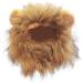 Shop Lion Mane Caps & Costumes - Perfect for Easter Festival Party & Pet Wings - Buy Online on GoSupps.com