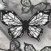 Butterflly Eyeliner Stencil Winged Eyeliner Stencil Flexible Eyeshadow Stencil Eyeliner Stamp Eyeliner Stencil Stickers Multifunctional Eye Makeup Tool Eyeliner Shaper for Beginners in Makeup - Buy Online on GoSupps.com