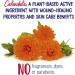 Boiron Calendula First Aid Cream 2.5 oz - Relief for Cuts, Scrapes, Chafing & Sunburn - Buy Online on GoSupps.com