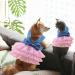 Cute Tutu Striped Dog & Cat Dress - Princess Bowknot Dress for Small Dogs & Cats | Denim Pink - Perfect for Pomeranians & Chihuahuas - Buy Online on GoSupps.com