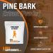 Pine Bark Extract Powder - Herbal Circulation Support & Antioxidant Source - 100g, Gluten Free - BulkSupplements.com - Buy Online on GoSupps.com