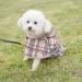 Dog Raincoat Hooded with Reflective Strip - Waterproof Jumpsuit for Small Dogs - Buy Online on GoSupps.com