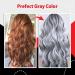 Silver Grey Natural Hair Colour Cream Unisex Hairstyle Temporary Colour DIY Fashion Permanent Light Grey - Buy Online on GoSupps.com