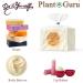 Raw Mango Butter 16 oz - 100% Pure Natural Unrefined for Skin & Hair | DIY Soap Making & Body Care - Buy Online on GoSupps.com