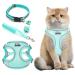 MOSTFUN Cat Harness and Lead Set Escape Proof Cat Kitten Harness for Walking Soft Mesh Small Cat Dog Harness with Leash Adjustable Reflective Stripe and Leash Set for Small Medium Cats Pets Green S