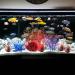 Buy BEGONDIS 8-Piece Coral Decoration Set for Aquariums | Transform Your Aquarium into a Stunning Underwater World - Buy Online on GoSupps.com