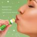 ALIDA PURE Mint Lip Balm Collection Vegan Lip Balm Beeswax Free with Avocado Oil Organic Jojoba Oil and Vitamin E for Dry Chapped or Cracked Lips 3 Tube Set Mint-3 Pack - Buy Online on GoSupps.com