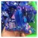 Natural Crystal Rough Crystal Cluster Blue Crystal Cluster Natural Raw Clear Quartz Rough (Size : 180-200g)
