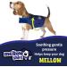 Mellow Shirt Dog Anxiety Calming Wrap - Medium (26-40 lb) Radiant Orchid - Buy Online on GoSupps.com