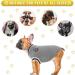 Cozy Winter Dog Sweaters & Coats | Soft Knitted Jackets for Small to XXL Dogs & Cats - Buy Online on GoSupps.com