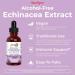 MaryRuth Organics Throat Spray (Unflavored) & Echinacea Purpurea Drops | USDA Organic Clean Label Project Verified | Vitamins for Throat Relief Immunity & Overall Health | Vegan Non-GMO - Buy Online on GoSupps.com