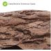 Buy XL Ceramic Garpet Aquarium Terrarium Decoration | Perfect Hiding Place for Reptiles & Fish - Buy Online on GoSupps.com