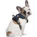 Littlearth NCAA Auburn Tigers Front Clip Pet Harness - X-Large Team Color - Buy Online on GoSupps.com