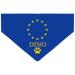 Dog hollow motif: football games sports Olympic Games personalized triangle for pets is attached to the collar (flag: European Union)