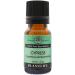 Cypress 100% Pure Essential Oil - 10 ml