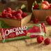 Orchard Bars Non-GMO Strawberry Raspberry Walnut Bars - 12 Pack 1.4oz - Buy Online on GoSupps.com