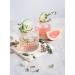 MONIN - Cocktail Set - Coconut Elderflower Mojito Mint Strawberry and Passion - 5x5cl - Buy Online on GoSupps.com