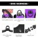 Phoepet Reflective Adjustable Dog Vest for Small Dogs - Harvest Front Clip Handle 2 Metal Rings 3 Buckles - Size L Violet - Buy Online on GoSupps.com