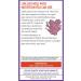 New Chapter Bone Strength Take Care - 270 Vegetarian Slim Tablets for Bone Health - Buy Online on GoSupps.com