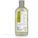 Organic Doctor Dr. Bio Tea Tree Shampoo and Conditioner Purifying Oily Roots Natural Vegan Cruelty-Free Paraben and SLS Free Recyclable and Sea-Recycled Plastic Organic 265 ml x2 - Buy Online on GoSupps.com