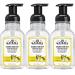 J.R. Watkins Foaming Hand Soap with Pump Dispenser, Moisturizing Foam Hand Wash, All Natural, Alcohol-Free, Cruelty-Free, USA Made, Lemon, 9 fl oz, 3 Pack Lemon 9 Fl Oz (Pack of 3)