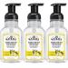 J.R. Watkins Foaming Hand Soap For Bathroom or Kitchen Scented USA Made And Cruelty Free 9 Fl Oz Lemon 3 Pack