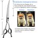 Buy Purple Dragon 7-Inch Japanstahl-440c Professional Dog & Cat Scissors - Right-Handed Bending Scissors for Groomers & Beginners - Buy Online on GoSupps.com