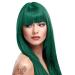 X La Riche Directions Semi-Permanent Hair Color 88ml Tubs - Alpine Green Green 88 ml (2Pack)