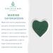 Buy Canine Super Greens by Holistic Bin | Vegan Dog Nutritional Supplement with Marine Phytoplankton Spirulina Chlorella & Fermented Barley Grass for Organic Skin & Coat Support 50g - Buy Online on GoSupps.com