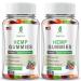 Hemp Gummies for Pain, Sleep, Anxiety - 2 Packs Hemp Gummy 100% Natural Organic Extra Strength High Potency with Pure H mp Oil Extract Vegan Bear Candy Fruit