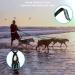 PHILORN Hands-free triple Dog Lead Splitter - Adjustable Detachable - Shock Absorbing Bungee Leads No Tangle Lead for Walking 3 Dogs (Blue) - Buy Online on GoSupps.com