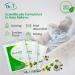 Dr. T HemoZel Cream - Natural Hemorrhoid Treatment for Symptoms like Bleeding, Burning, Itching, Swelling - 6 Sachets x 0.17 oz (5g) - Alleviates Varicose Veins Discomfort - Buy Online on GoSupps.com