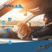 Flywave Strap-On Dog Car Belt - Adjustable Reflective Dog Seatbelt for All Breeds & Car Types | D-Buckle Black - Buy Online on GoSupps.com