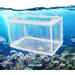2 Pack Fish Breeding Box - Nylon Fry Hatchery Mesh with Suction Cups - Small & Big Sizes - Buy Online on GoSupps.com