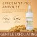 Black and White Rice Peeling Soft Rice Exfoliating Face and Body New glow rice Black and White Rice Exfoliant Duo Ampoule Set for All Skin Types Gentle Peel & Deep Hydration 2 Pack (2.7 fl oz Each) - Buy Online on GoSupps.com