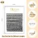 40D C Curl Individual False Eyelashes | 8-14mm Reusable DIY Cluster Lashes for Eye Makeup - Buy Online on GoSupps.com