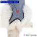 Professional Cat Surgery Recovery Suit for Abdominal Wounds | E-Collar Alternative for Cats & Dogs | Medium Grey-blue - Buy Online on GoSupps.com