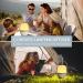 Salking Wireless Rechargeable Aroma Diffuser - Portable Essential Oil Diffuser with Adjustable Fog Mode & Auto Power-Off for Home Office Yoga - Blue - Buy Online on GoSupps.com