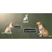 2 Pieces P24S K9 Dog Harness Velcro Stickers for Small & Medium Dogs - Custom Name - Small White - Buy Online on GoSupps.com