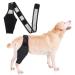 Wertcop wound protection suits for dogs black elbow saver for dogs elbow bandage Protector single leg recovery sleep dog for hot spots wounds bandages prevents licking from wounds