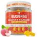 Berberine Supplement Gummies Sugar Free Extra Absorption with Liposomal Berberine & Berberine HCI Calcium Magnesium AMPK Activitor for Sugar & Level Immune Energy Metabolism -Pack of 2 60 Count (Pack of 2)