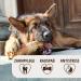 Petlove Chewing Root for Dogs - Natural Hypoallergenic Chewing Bones Without Additives | Size S (125-249g) - Ideal for Puppies - Buy Online on GoSupps.com