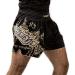 Hayabusa Falcon Muay Thai Shorts - Small Black | Premium Quality - Buy Online on GoSupps.com