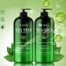 Tea Tree Oil Shampoo and Conditioner Set - Sulfate Free for Dry Itchy Scalp - With Tea Tree, Mint, and Ginger Extract - Paraben Free - Suitable for Men, Women, and Kids - Buy Online on GoSupps.com