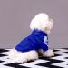 Ducomi Dog Sweater with Hood Warm & Soft Blue Clothing for All Sizes 2XL - Perfect for Pets & Puppies - Buy Online on GoSupps.com