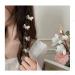 JIEKRIHLO 2 Pcs Butterfly Hair Clips - Small Cute Design for Women and Girls | Perfect Gift for Her - DD001 - Buy Online on GoSupps.com